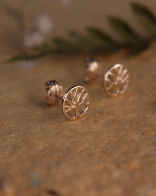 Caravana arbol de la vida