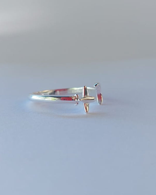 Anillo Avión y Luna